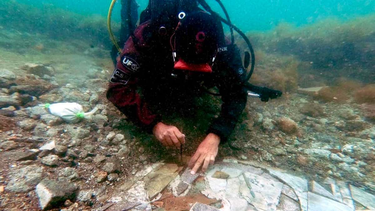 DIVER ROMAN EMPIRE MOSAIC