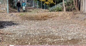 A mysterious pile of bones could hold evidence of Japanese war crimes, activists say