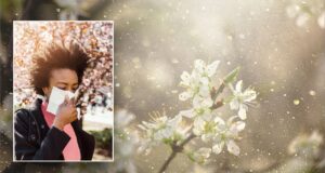 Don’t let summer allergies get in the way of warm weather fun: Understand common triggers and preventative measures you take