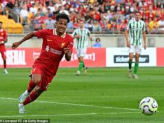 Fabio Carvalho insists he’s ready to prove to Arne Slot he’s good enough to stay at Liverpool next season after loan spells with RB Leipzig and Hull City