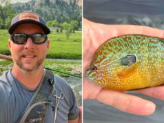 Nebraska fisherman reels in new fish species in state: ‘Bright orange with turquoise’