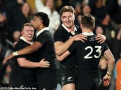 Rugby chiefs REJECT Middle Eastern riches with Qatar’s £800m Nations Championship bid off the table… with plans for ‘Super Bowl’-style weekends in Doha rebuffed over reputational damage concerns