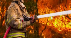 Wildfire smoke exposure raises risk of dementia diagnosis: Alzheimer’s Association