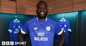 Wilfried Kanga: Cardiff sign Hertha striker on loan