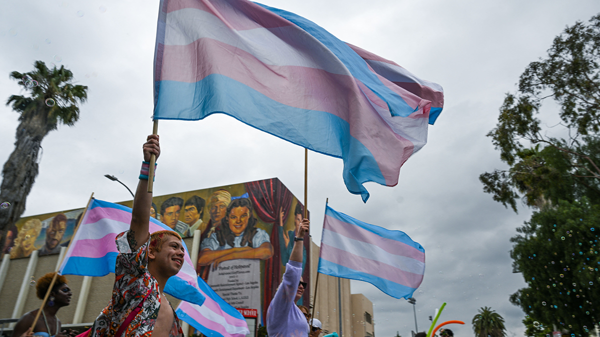 People wave a Transgender Pride flag during the 2023 LA Pride Parade on June 11, 2023, in Hollywood, California. The event marks the culmination of a three-day celebration of LGBTQ pride and rights. (Photo by Robyn Beck/AFP via Getty Images)