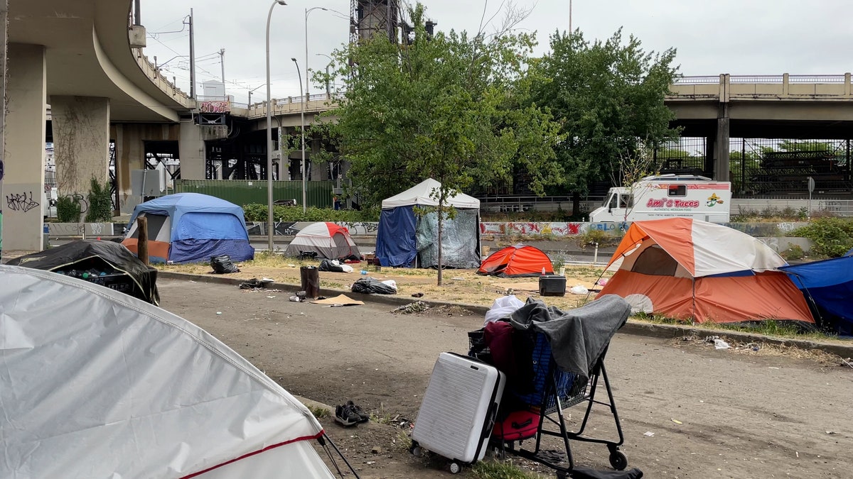 Tents and other items occupy a grassy area in Portland