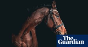 ‘The horses don’t choose to take part’: should equestrian sports be removed from the Olympics? | Equestrianism