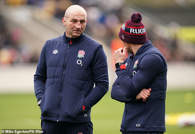 Steve Borthwick's side face New Zealand, Australia, South Africa and Japan in November