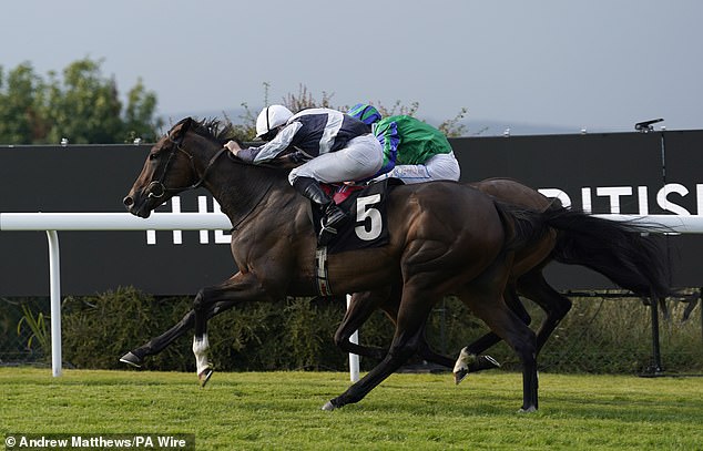 Dreamy received an outstanding ride from Ryan Moore (pictured), the world's leading jockey