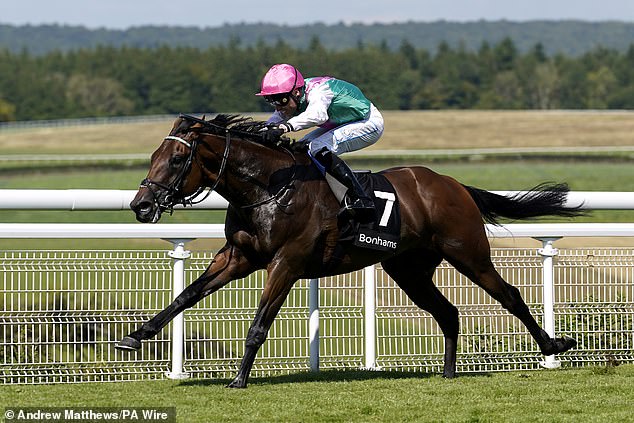 Kieran Shoemark (pictured) faced challenges but excelled on Lead Artist