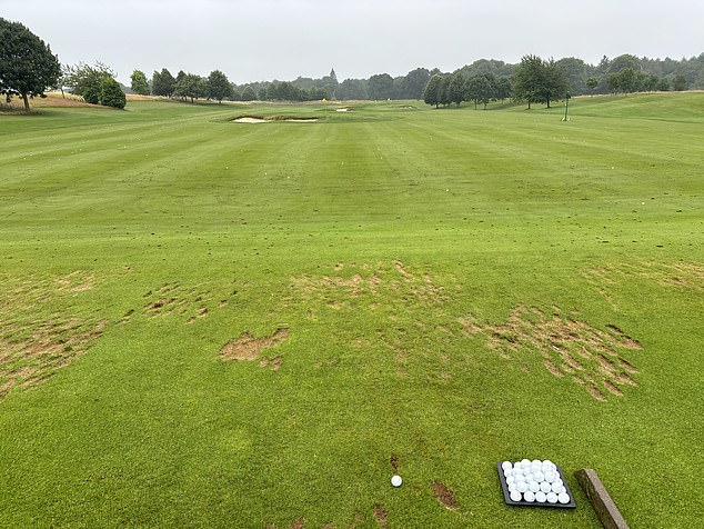 Wasn't the sunniest July on record but still made for nice playing conditions