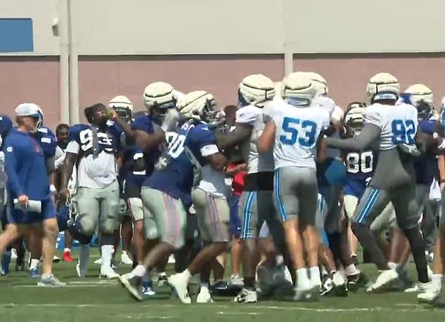 Pictured: the third of three fights between the Giants and Lions at a joint practice on Monday