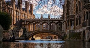 Cambridge dictionary adds Gen Z terms like ‘the ick,’ ‘chef’s kiss,’ and ‘speedrun’