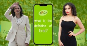 Harris campaign capitalizes on viral memes, but do Gen Z social media references resonate with older voters?