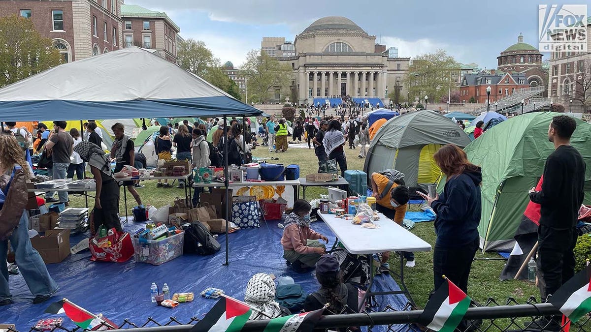 Protesters camp at Columbia University, complete with tents and keffiyehs
